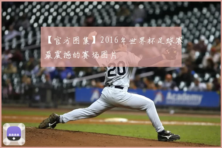 【官方图集】2016年世界杯足球赛最震撼的赛场图片