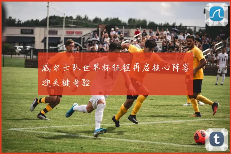 威尔士队世界杯征程再启核心阵容迎关键考验