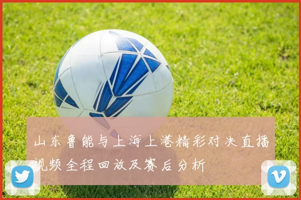 山东鲁能与上海上港精彩对决直播视频全程回放及赛后分析