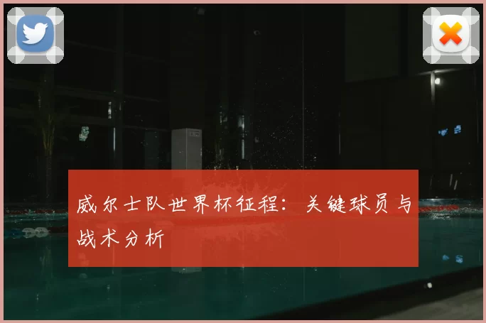 威尔士队世界杯征程:关键球员与战术分析