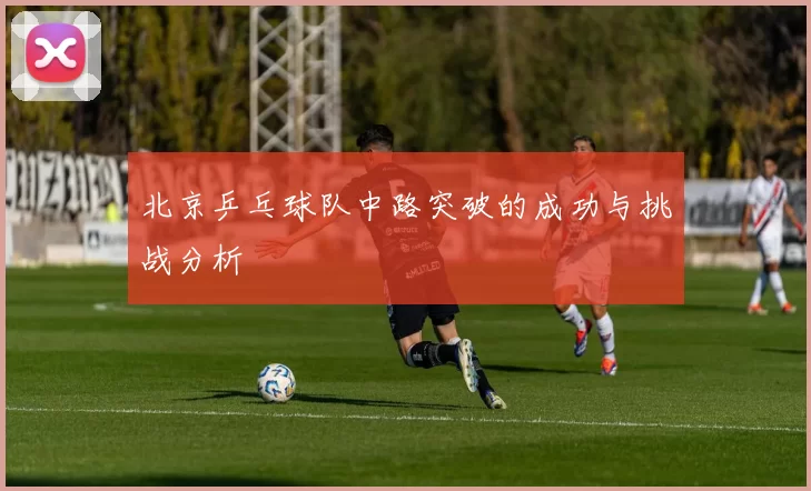 北京乒乓球队中路突破的成功与挑战分析