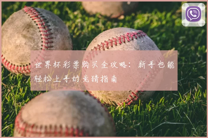 世界杯彩票购买全攻略:新手也能轻松上手的竞猜指南