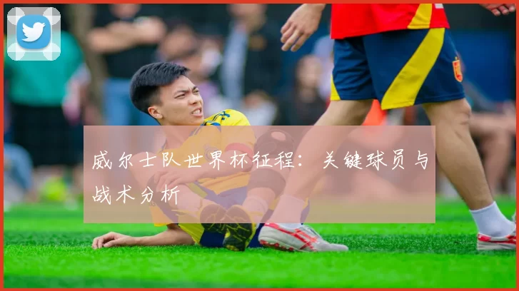 威尔士队世界杯征程:关键球员与战术分析