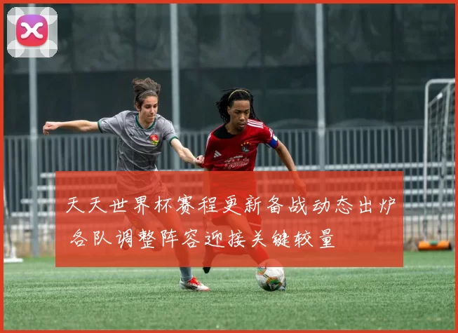 天天世界杯赛程更新备战动态出炉 各队调整阵容迎接关键较量