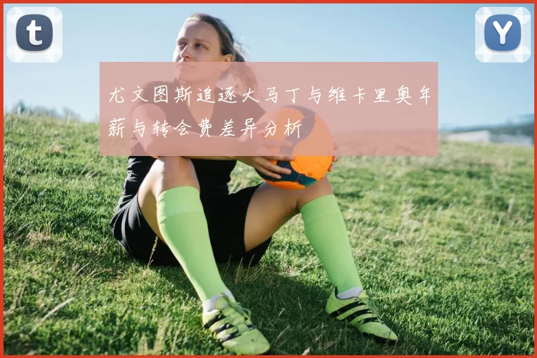 尤文图斯追逐大马丁与维卡里奥年薪与转会费差异分析
