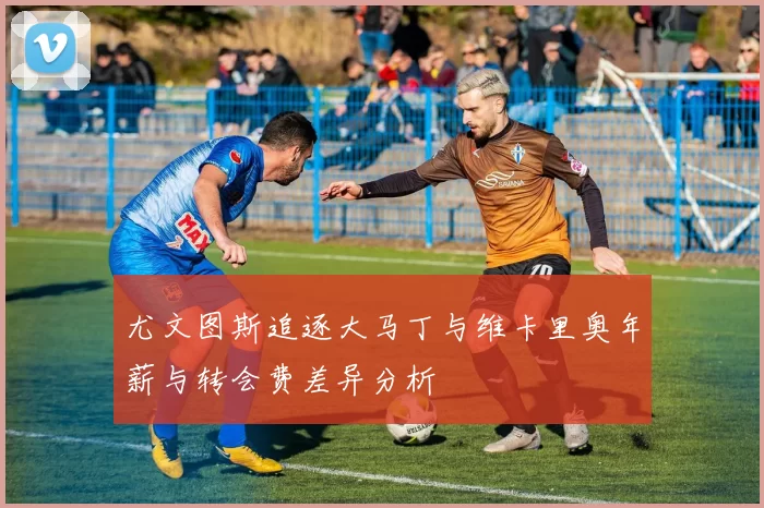 尤文图斯追逐大马丁与维卡里奥年薪与转会费差异分析