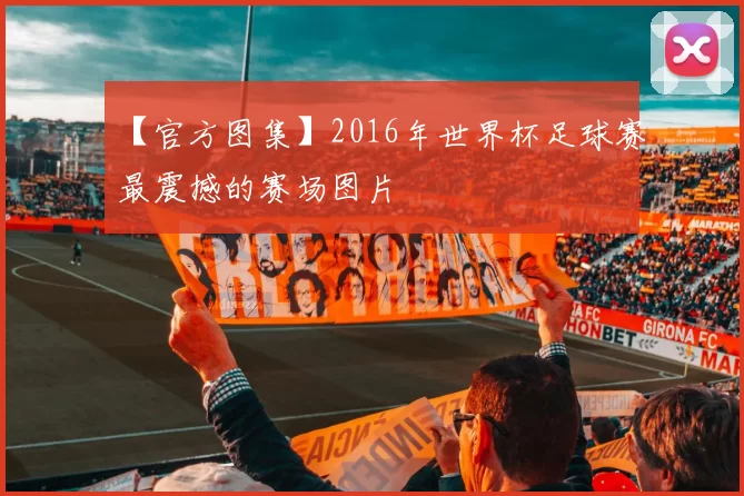 【官方图集】2016年世界杯足球赛最震撼的赛场图片