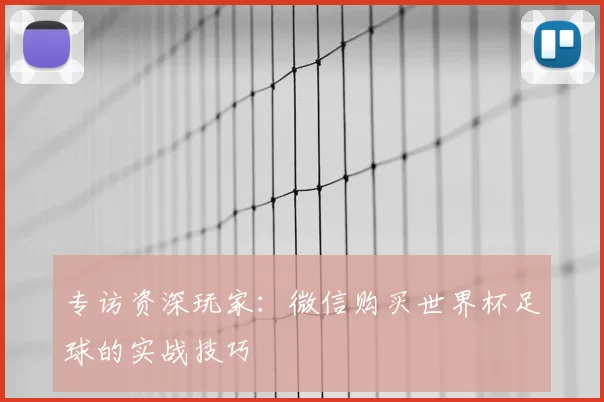 专访资深玩家：微信购买世界杯足球的实战技巧