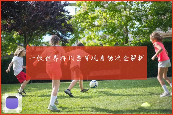 一张世界杯门票可观看场次全解析