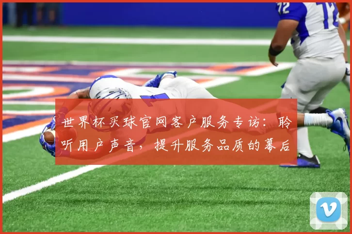 世界杯买球官网客户服务专访:聆听用户声音,提升服务品质的幕后故事