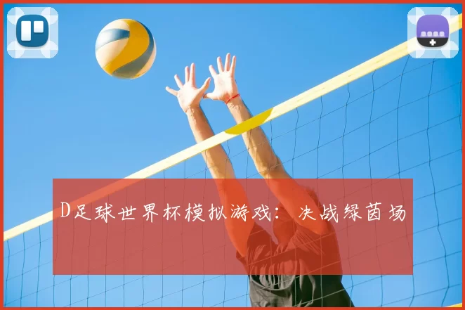 D足球世界杯模拟游戏:决战绿茵场