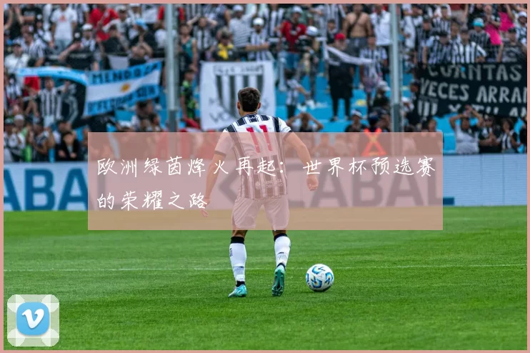 欧洲绿茵烽火再起:世界杯预选赛的荣耀之路