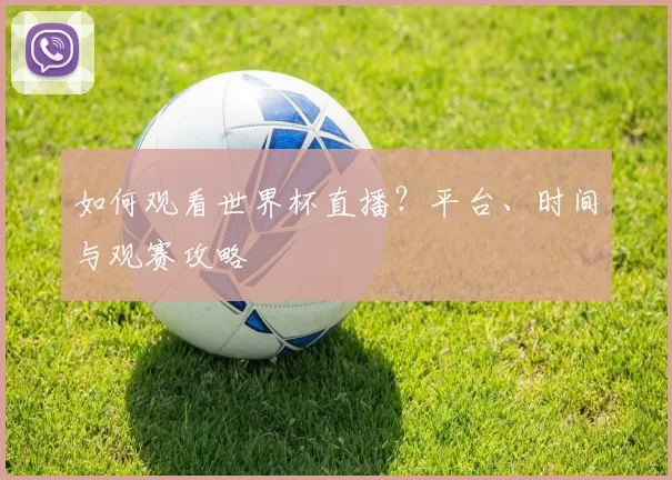 如何观看世界杯直播？平台、时间与观赛攻略