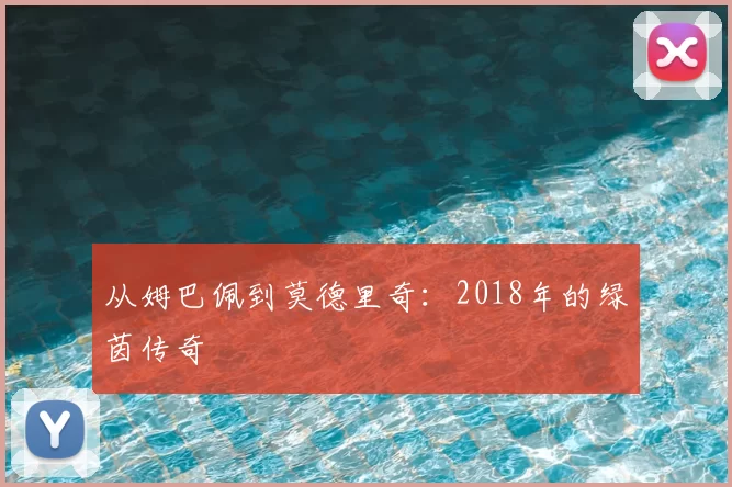 从姆巴佩到莫德里奇:2018年的绿茵传奇