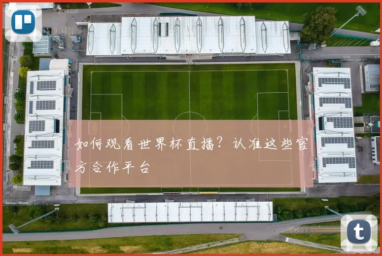 如何观看世界杯直播？认准这些官方合作平台