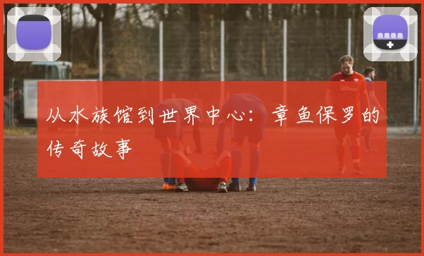 从水族馆到世界中心:章鱼保罗的传奇故事