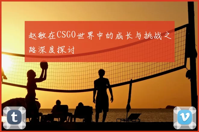 赵敏在CSGO世界中的成长与挑战之路深度探讨