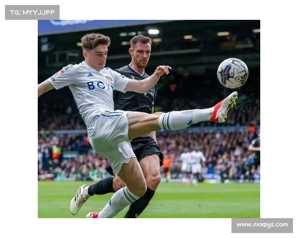 深入剖析英冠联赛的真实面貌与发展轨迹揭示潜在挑战与机遇